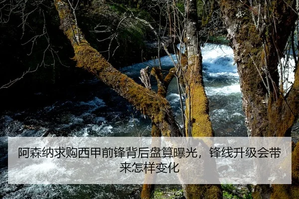 阿森纳求购西甲前锋背后盘算曝光，锋线升级会带来怎样变化